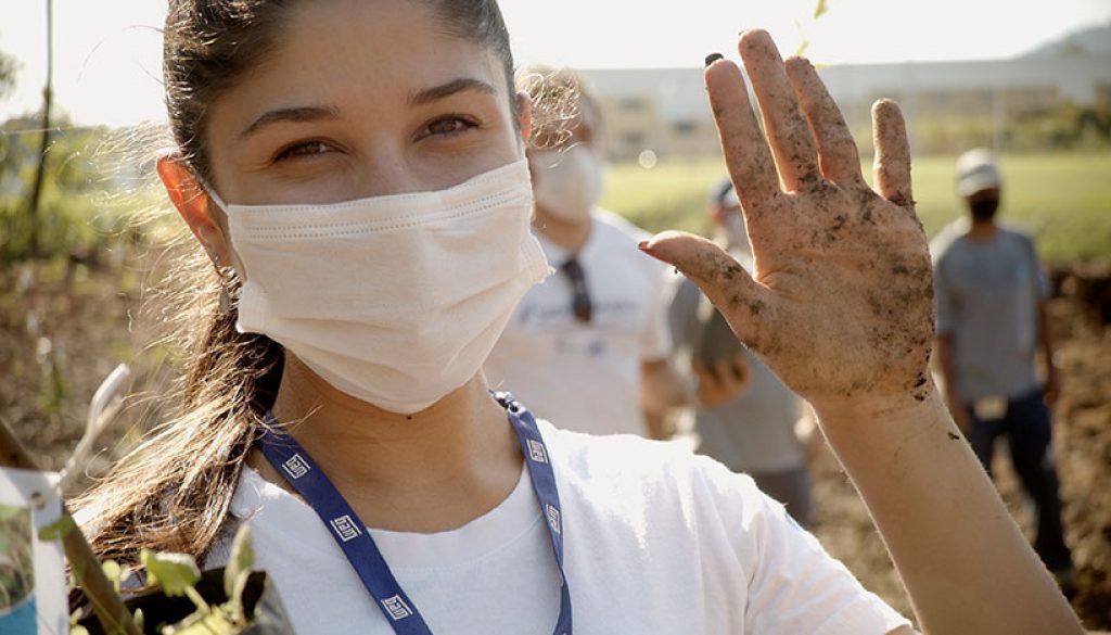 WEG promotes tree planting to preserve the environment 